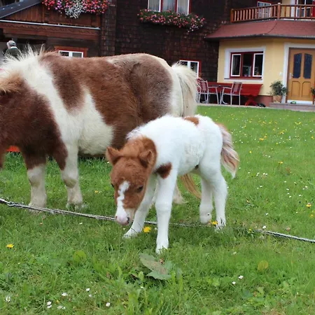 Çiftlik konaklama Unterhagmooshof Radstadt