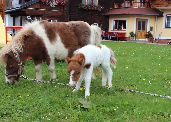 Κατάλυμα σε φάρμα Unterhagmooshof Radstadt